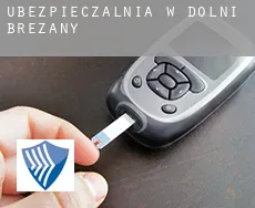 Ubezpieczalnia w  Dolní Břežany