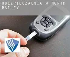 Ubezpieczalnia w  North Bailey