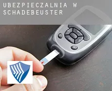 Ubezpieczalnia w  Schadebeuster
