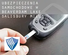 Ubezpieczenia samochodowe w  Beaverdam Lake-Salisbury Mills