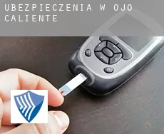 Ubezpieczenia w Ojo Caliente