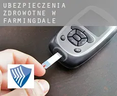Ubezpieczenia zdrowotne w Farmingdale