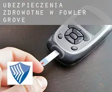 Ubezpieczenia zdrowotne w  Fowler Grove