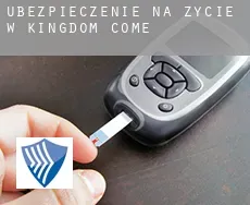 Ubezpieczenie na życie w  Kingdom Come