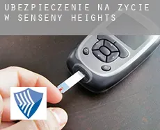 Ubezpieczenie na życie w Senseny Heights