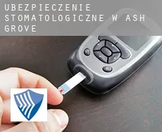 Ubezpieczenie stomatologiczne w  Ash Grove