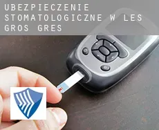 Ubezpieczenie stomatologiczne w  Les Gros Grès