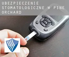 Ubezpieczenie stomatologiczne w  Pine Orchard