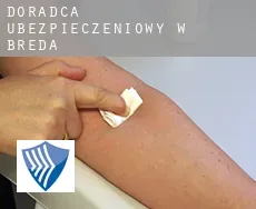 Doradca ubezpieczeniowy w  Breda