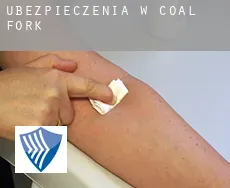 Ubezpieczenia w  Coal Fork