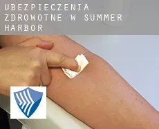 Ubezpieczenia zdrowotne w  Summer Harbor