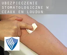 Ubezpieczenie stomatologiczne w  Ceaux-en-Loudun