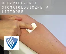 Ubezpieczenie stomatologiczne w  Littdorf