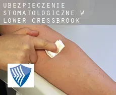 Ubezpieczenie stomatologiczne w  Lower Cressbrook