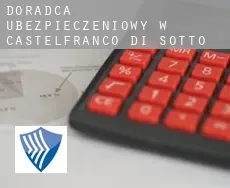 Doradca ubezpieczeniowy w  Castelfranco di Sotto