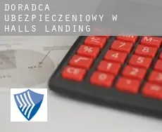 Doradca ubezpieczeniowy w  Halls Landing