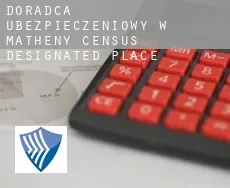 Doradca ubezpieczeniowy w  Matheny