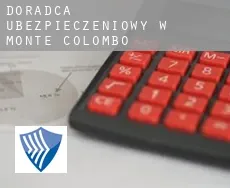 Doradca ubezpieczeniowy w  Monte Colombo