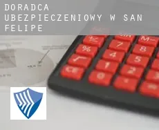 Doradca ubezpieczeniowy w  San Felipe