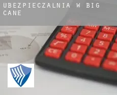 Ubezpieczalnia w  Big Cane