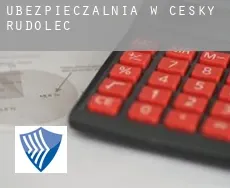 Ubezpieczalnia w  Český Rudolec