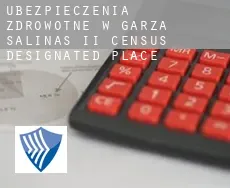 Ubezpieczenia zdrowotne w  Garza-Salinas II