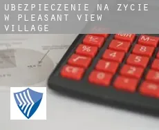 Ubezpieczenie na życie w  Pleasant View Village