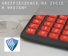 Ubezpieczenie na życie w Wasigny