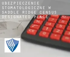 Ubezpieczenie stomatologiczne w  Saddle Ridge
