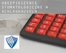 Ubezpieczenie stomatologiczne w  Schlaghäuseln
