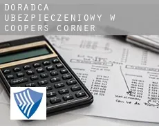 Doradca ubezpieczeniowy w  Coopers Corner
