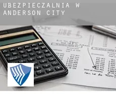 Ubezpieczalnia w  Anderson City