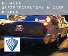 Doradca ubezpieczeniowy w  Carr Branch