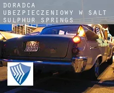 Doradca ubezpieczeniowy w Salt Sulphur Springs
