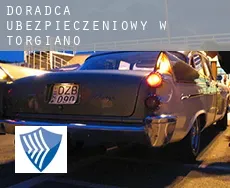 Doradca ubezpieczeniowy w  Torgiano