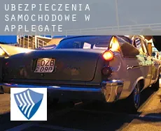 Ubezpieczenia samochodowe w  Applegate