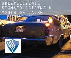 Ubezpieczenie stomatologiczne w  Mouth of Laurel