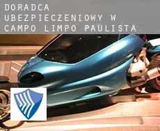 Doradca ubezpieczeniowy w  Campo Limpo Paulista