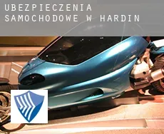 Ubezpieczenia samochodowe w  Hardin