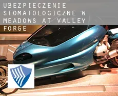 Ubezpieczenie stomatologiczne w  Meadows at Valley Forge
