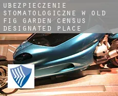 Ubezpieczenie stomatologiczne w  Old Fig Garden