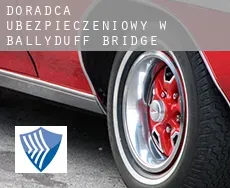 Doradca ubezpieczeniowy w Ballyduff Bridge