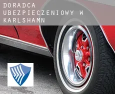 Doradca ubezpieczeniowy w  Karlshamn Municipality