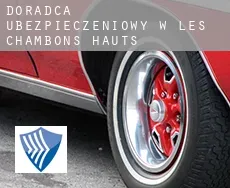 Doradca ubezpieczeniowy w  Les Chambons Hauts