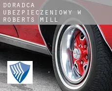 Doradca ubezpieczeniowy w  Roberts Mill