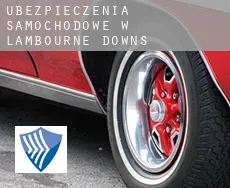 Ubezpieczenia samochodowe w  Lambourne Downs