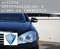 Doradca ubezpieczeniowy w  Ligny-en-Cambrésis