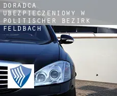 Doradca ubezpieczeniowy w  Politischer Bezirk Feldbach