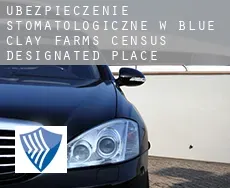 Ubezpieczenie stomatologiczne w  Blue Clay Farms