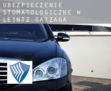 Ubezpieczenie stomatologiczne w  Leintz-Gatzaga